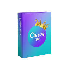 Canva Pro – 1 Year Team Slot